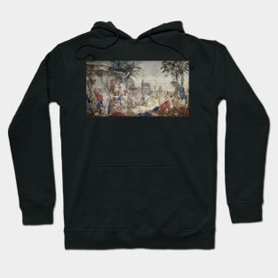 Chinoiserie in colour Hoodie